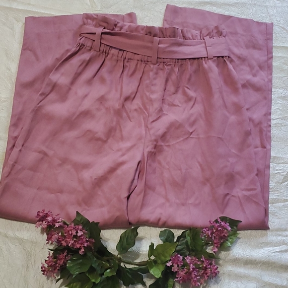 Point Sur By J Crew Pink Paper Bag Pants Size 14 - Picture 3 of 4